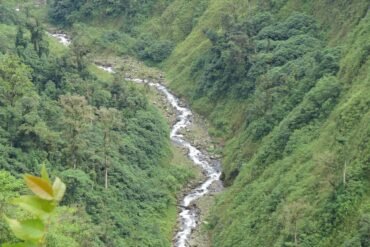 La carta del día en el tarot: La Estrella y su mensaje de esperanza, claridad y renovación